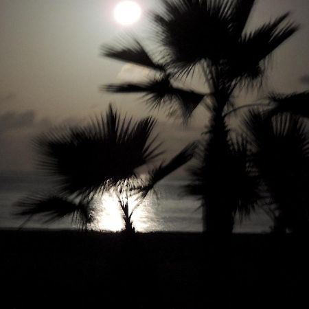 Villa Nº25B Alfredo Marchetti Suites On The Beach Praia Di Chaves Rabil Exterior photo